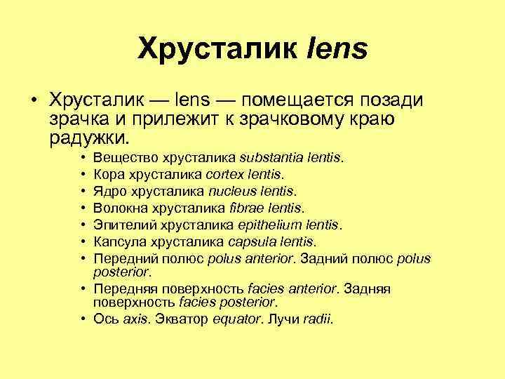 Хрусталик lens • Хрусталик — lens — помещается позади зрачка и прилежит к зрачковому