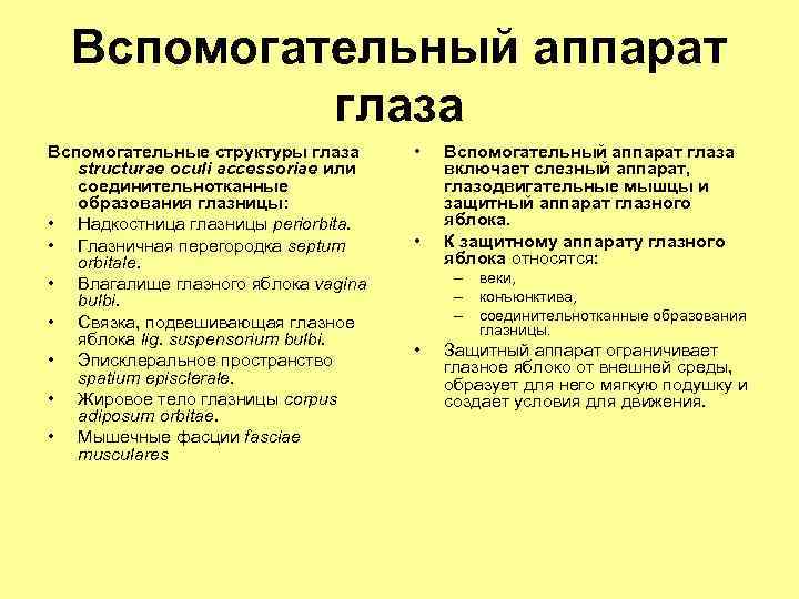 Вспомогательный аппарат глаза Вспомогательные структуры глаза structurae oculi accessoriae или соединительнотканные образования глазницы: •