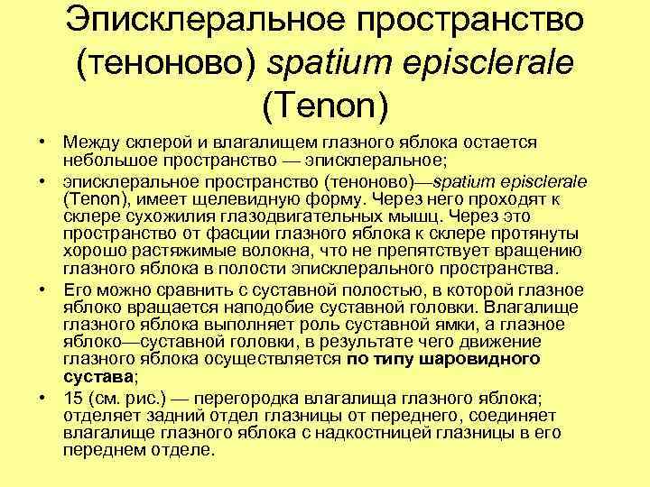 Эписклеральное пространство (теноново) spatium episclerale (Tenon) • Между склерой и влагалищем глазного яблока остается