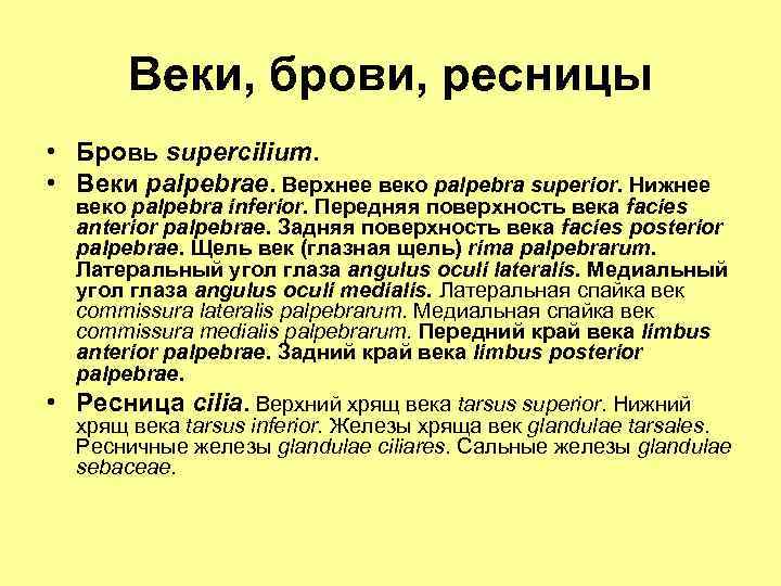 Веки, брови, ресницы • Бровь supercilium. • Веки palpebrae. Верхнее веко palpebra superior. Нижнее