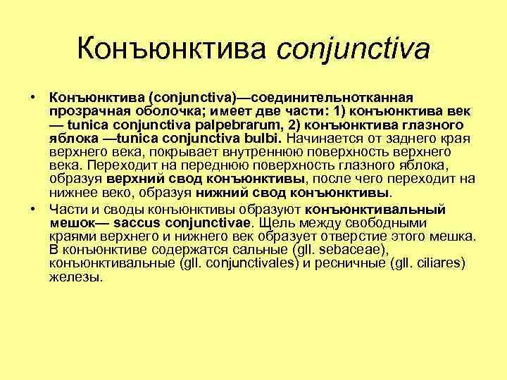 Конъюнктива conjunctiva • Конъюнктива (conjunctiva)—соединительнотканная прозрачная оболочка; имеет две части: 1) конъюнктива век —