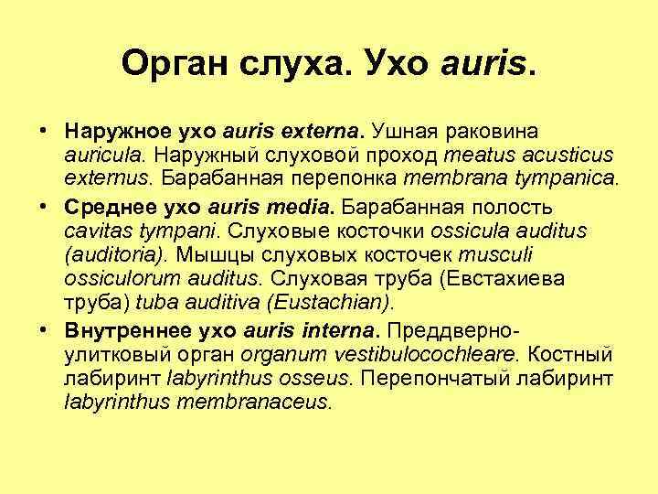 Орган слуха. Ухо auris. • Наружное ухо auris externa. Ушная раковина auricula. Наружный слуховой