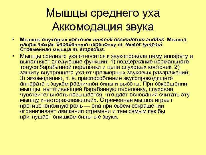 Мышцы среднего уха Аккомодация звука • Мышцы слуховых косточек musculi ossiculorum auditus. Мышца, напрягающая