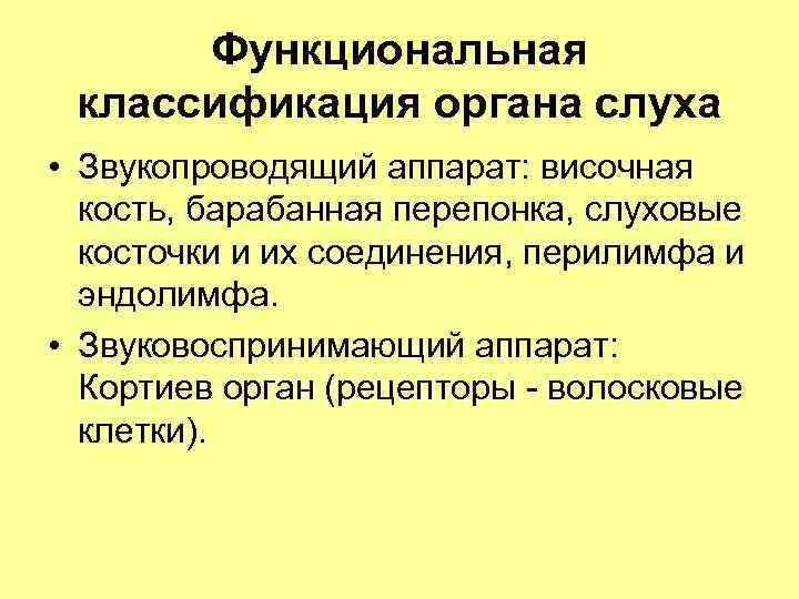 Функциональная классификация органа слуха • Звукопроводящий аппарат: височная кость, барабанная перепонка, слуховые косточки и