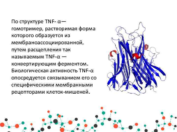 Синдром некроза опухоли