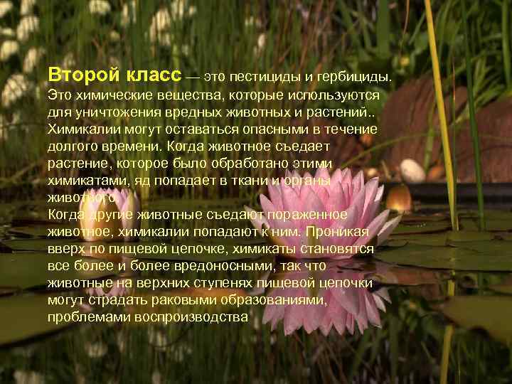 Второй класс — это пестициды и гербициды. Это химические вещества, которые используются для уничтожения