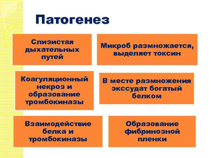 Патогенез Слизистая дыхательных путей Коагуляционный некроз и образование тромбокиназы Взаимодействие белка и тромбокиназы Микроб