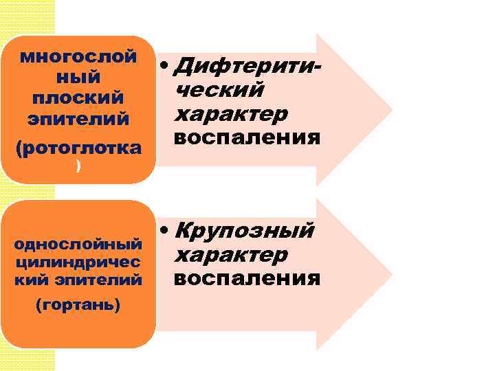 многослой • Дифтеритиный ческий плоский характер эпителий воспаления (ротоглотка ) однослойный цилиндричес кий эпителий