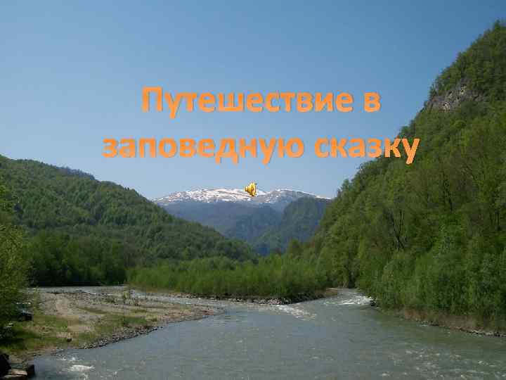 Путешествие в заповедную сказку 