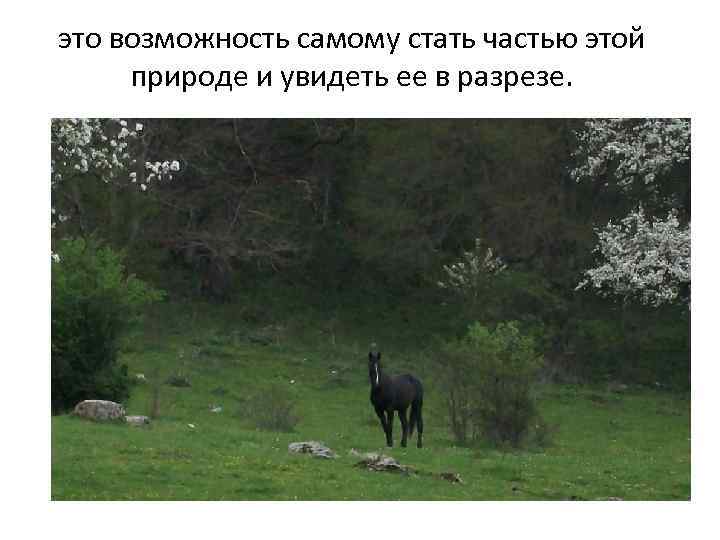 это возможность самому стать частью этой природе и увидеть ее в разрезе. 