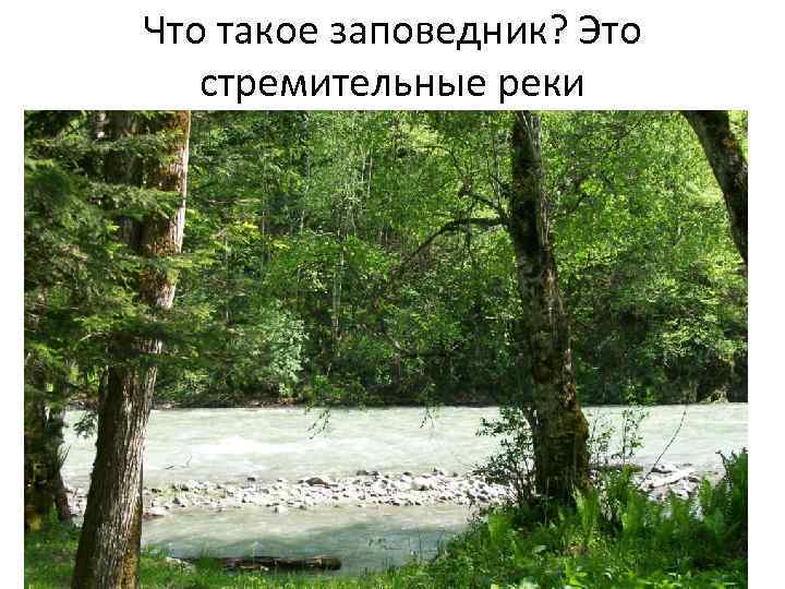 Что такое заповедник? Это стремительные реки 
