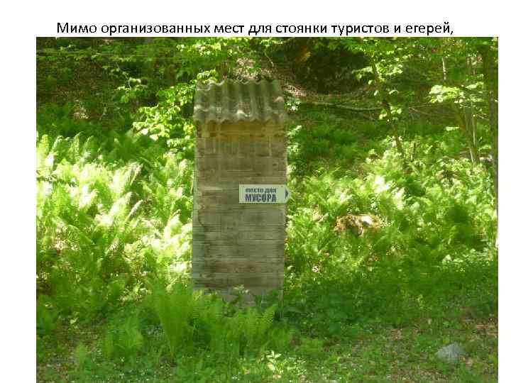 Мимо организованных мест для стоянки туристов и егерей, 