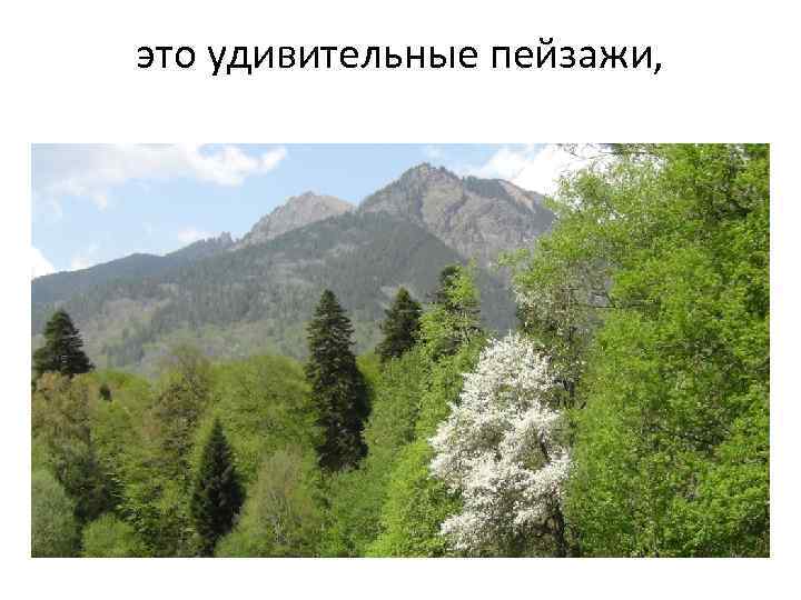 это удивительные пейзажи, 
