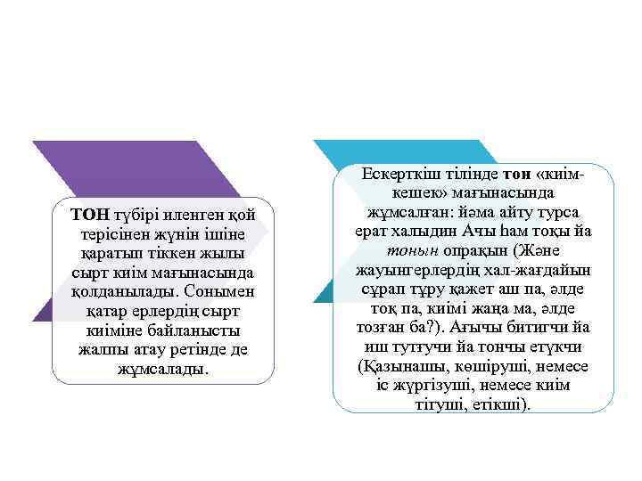 ТОН түбірі иленген қой терісінен жүнін ішіне қаратып тіккен жылы сырт киім мағынасында қолданылады.