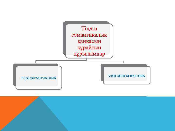 Тілдің самантикалық қаңқасын құрайтын құрылымдар парадигматикалық синтагматикалық 