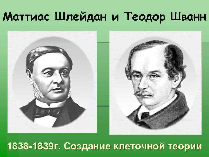 Маттиас Шлейдан и Теодор Шванн 1838 -1839 г. Создание клеточной теории 