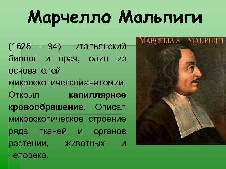 Марчелло Мальпиги (1628 - 94) итальянский биолог и врач, один из основателей микроскопической анатомии.