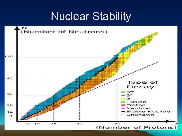 Nuclear Stability 