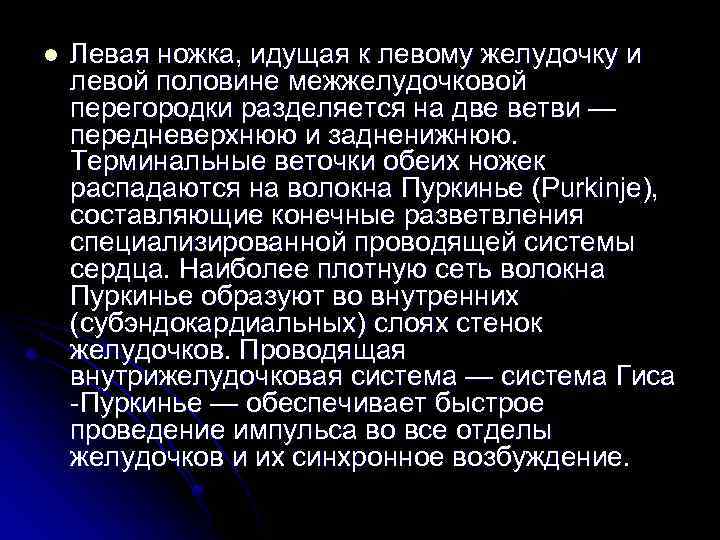 l Левая ножка, идущая к левому желудочку и левой половине межжелудочковой перегородки разделяется на