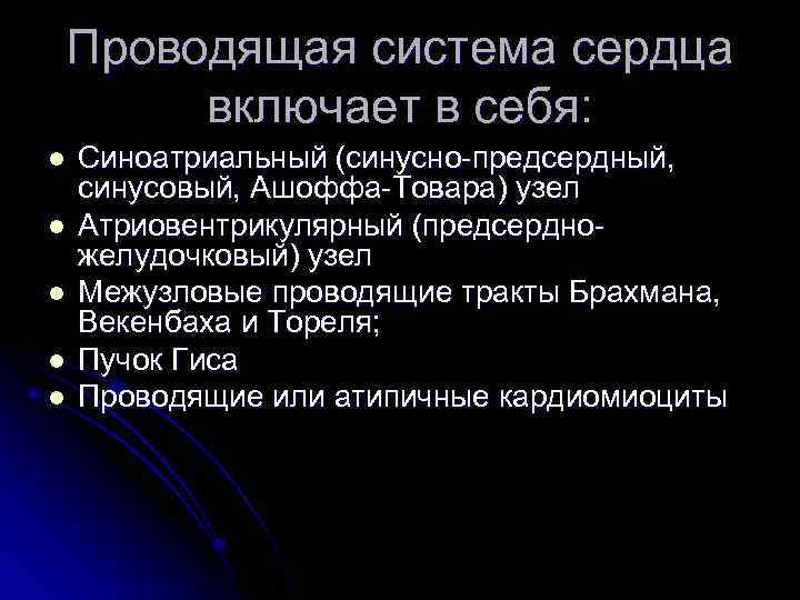 Проводящая система сердца включает в себя: l l l Синоатриальный (синусно предсердный, синусовый, Ашоффа