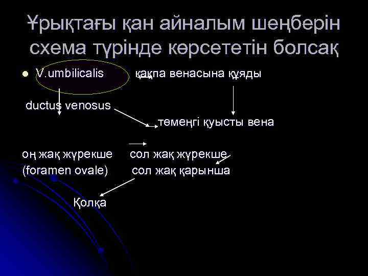 Ұрықтағы қан айналым шеңберін схема түрінде көрсететін болсақ l V. umbilicalis қақпа венасына құяды