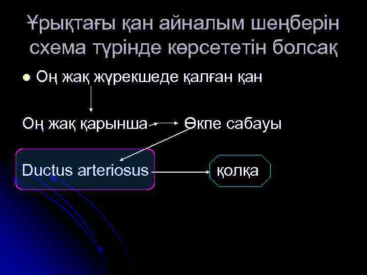 Ұрықтағы қан айналым шеңберін схема түрінде көрсететін болсақ l Оң жақ жүрекшеде қалған қан