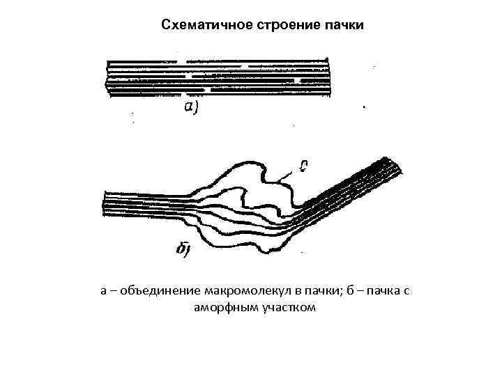 Схематичное строение пачки а – объединение макромолекул в пачки; б – пачка с аморфным