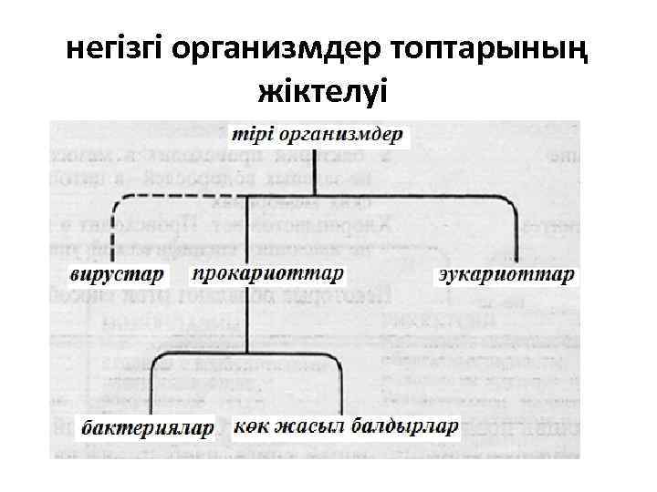  негізгі организмдер топтарының жіктелуі 