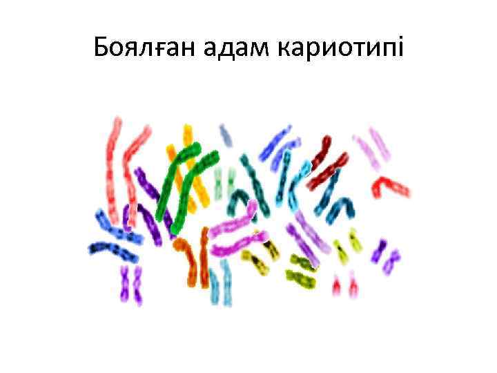 Боялған адам кариотипі 