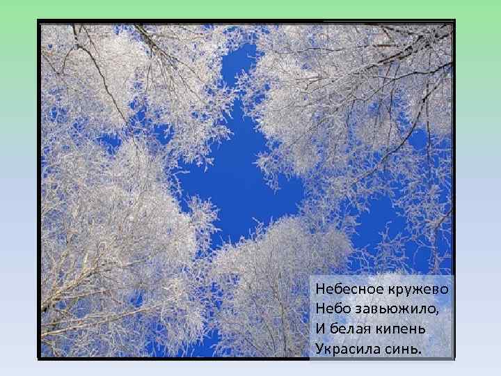 Зимние кружева Небесное кружево Небо завьюжило, И белая кипень Украсила синь. 