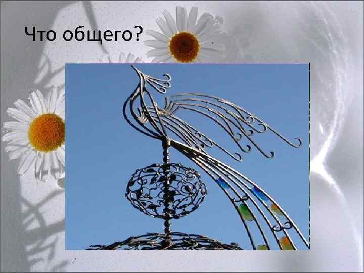 Что общего? 