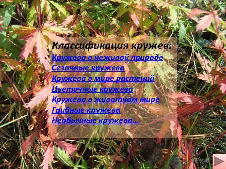 Классификация кружев: Кружева в неживой природе Сезонные кружева Кружева в мире растений Цветочные кружева