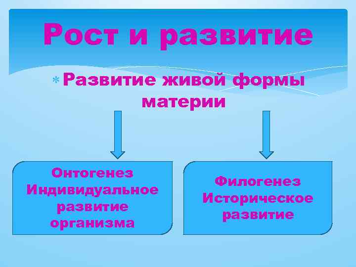 Рост и развитие Развитие живой формы материи Онтогенез Индивидуальное развитие организма Филогенез Историческое развитие