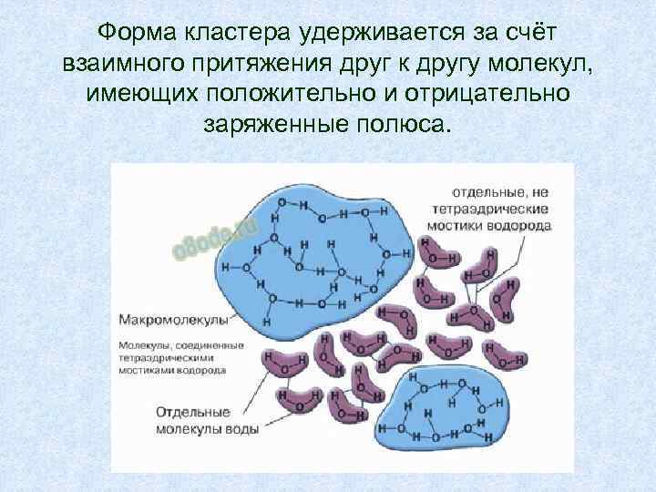 Форма кластера удерживается за счёт взаимного притяжения друг к другу молекул, имеющих положительно и