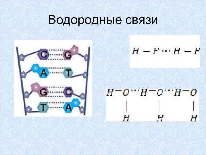 Водородные связи 