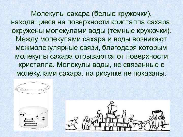 Молекулы сахара (белые кружочки), находящиеся на поверхности кристалла сахара, окружены молекулами воды (темные кружочки).