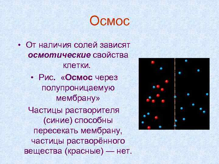 Осмос • От наличия солей зависят осмотические свойства клетки. • Рис. «Осмос через полупроницаемую