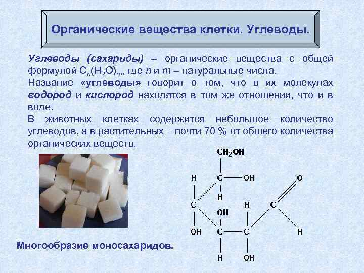  Органические вещества клетки. Углеводы (сахариды) – органические вещества с общей формулой Cn(H 2