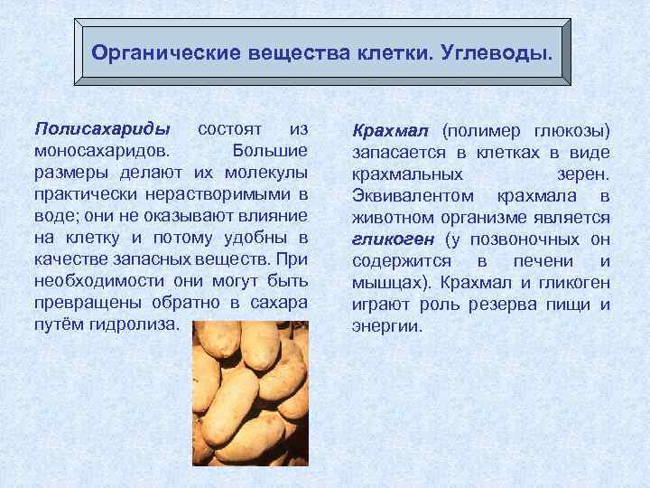 Органические вещества клетки. Углеводы. Полисахариды состоят из моносахаридов. Большие размеры делают их молекулы практически