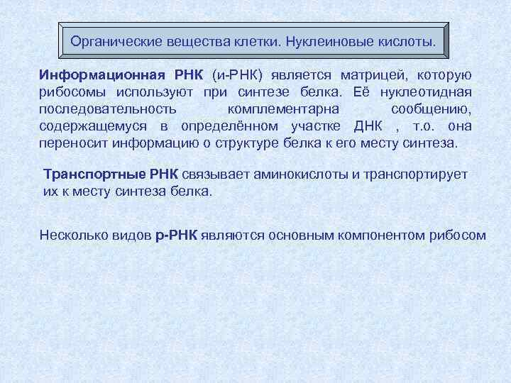 Органические вещества клетки. Нуклеиновые кислоты. Информационная РНК (и-РНК) является матрицей, которую рибосомы используют при