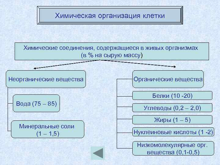 Вещества неорганические и органические схема