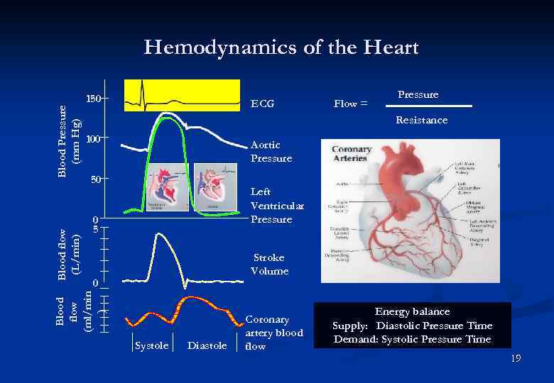 150 ECG Flow = Pressure Resistance 100 Aortic Pressure 50 Left Ventricular Pressure 0