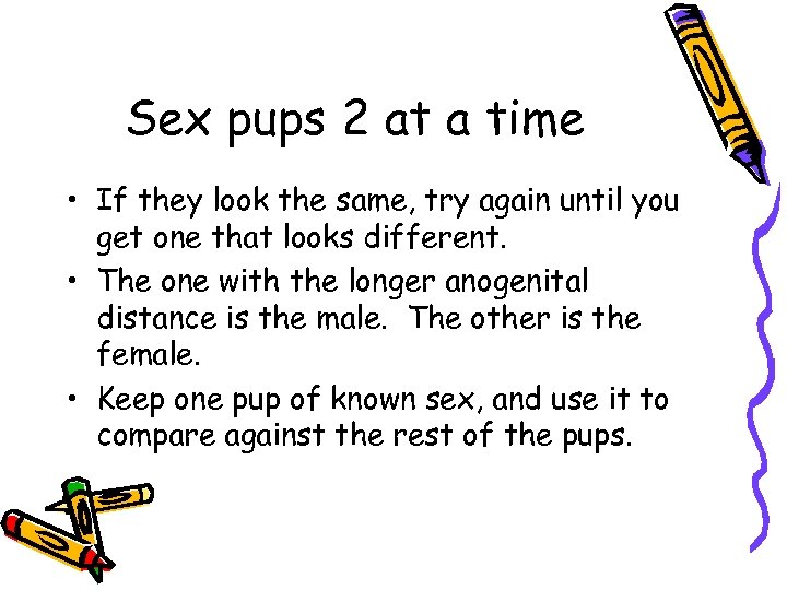 Sex pups 2 at a time • If they look the same, try again
