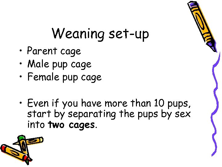 Weaning set-up • Parent cage • Male pup cage • Female pup cage •