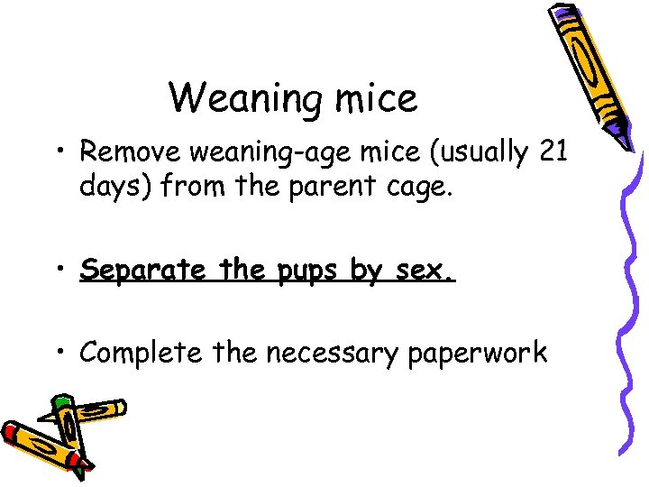 Weaning mice • Remove weaning-age mice (usually 21 days) from the parent cage. •