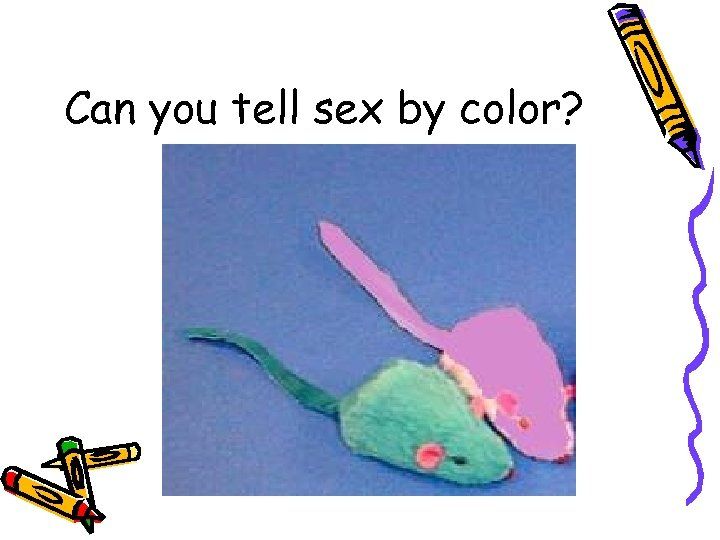Can you tell sex by color? 