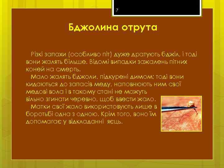 7 Бджолина отрута Різкі запахи (особливо піт) дуже дратують бджіл, і тоді вони жалять