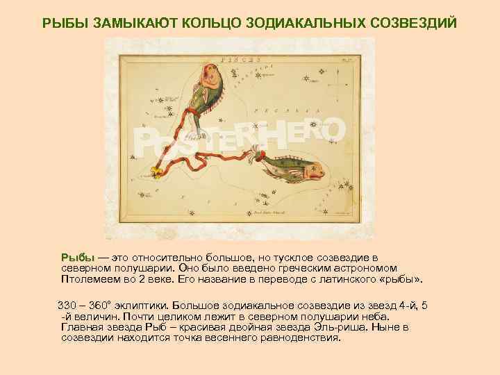 РЫБЫ ЗАМЫКАЮТ КОЛЬЦО ЗОДИАКАЛЬНЫХ СОЗВЕЗДИЙ Рыбы — это относительно большое, но тусклое созвездие в