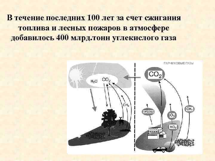 В течение последних 100 лет за счет сжигания топлива и лесных пожаров в атмосфере