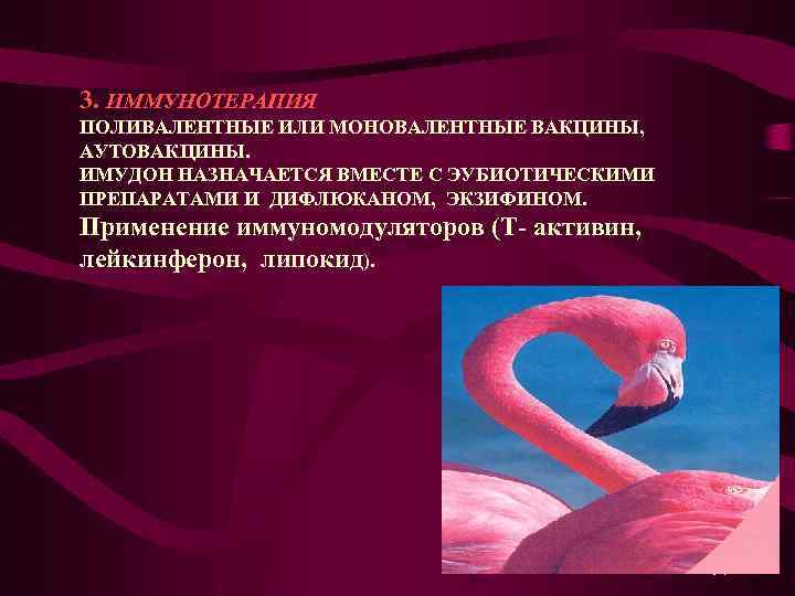 3. ИММУНОТЕРАПИЯ ПОЛИВАЛЕНТНЫЕ ИЛИ МОНОВАЛЕНТНЫЕ ВАКЦИНЫ, АУТОВАКЦИНЫ. ИМУДОН НАЗНАЧАЕТСЯ ВМЕСТЕ С ЭУБИОТИЧЕСКИМИ ПРЕПАРАТАМИ И